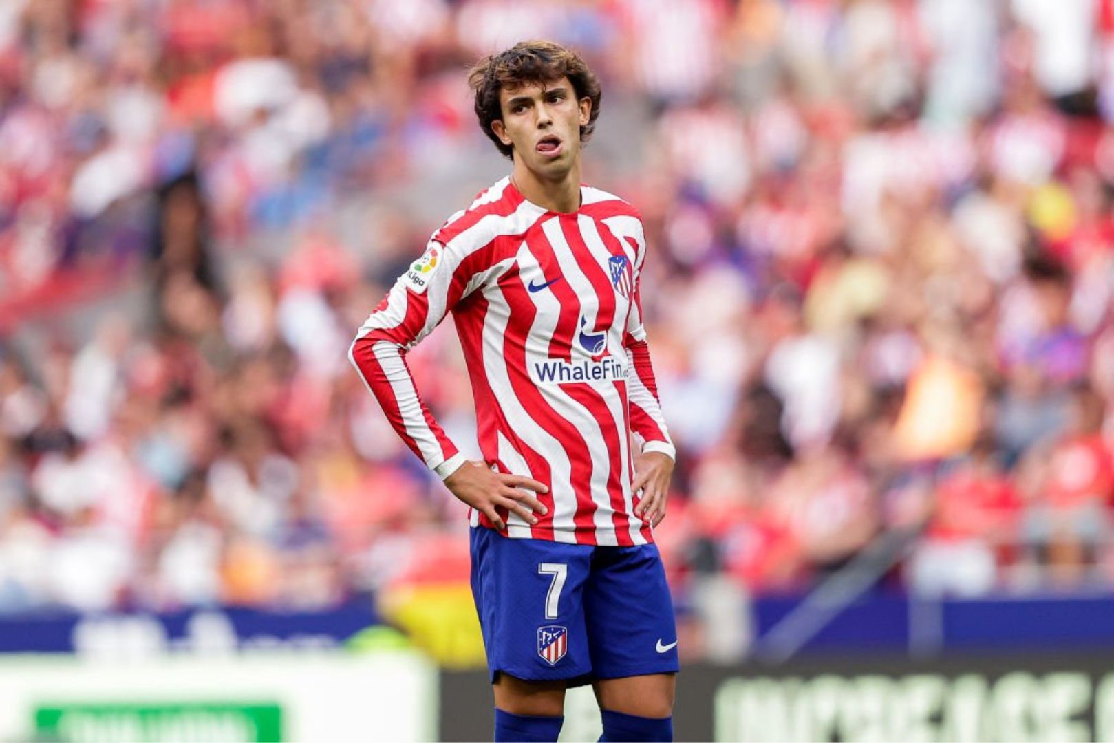Barcelona target Joao Felix