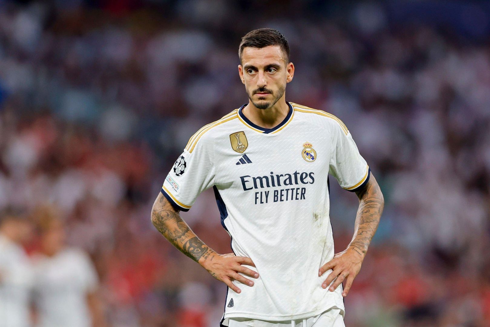 MADRID, SPAIN - SEPTEMBER 20: Joselu of Real Madrid looks on during the UEFA Champions League match between Real Madrid CF and 1. FC Union Berlin at Santiago Bernabéu Stadium on September 20, 2023 in Madrid, Spain.