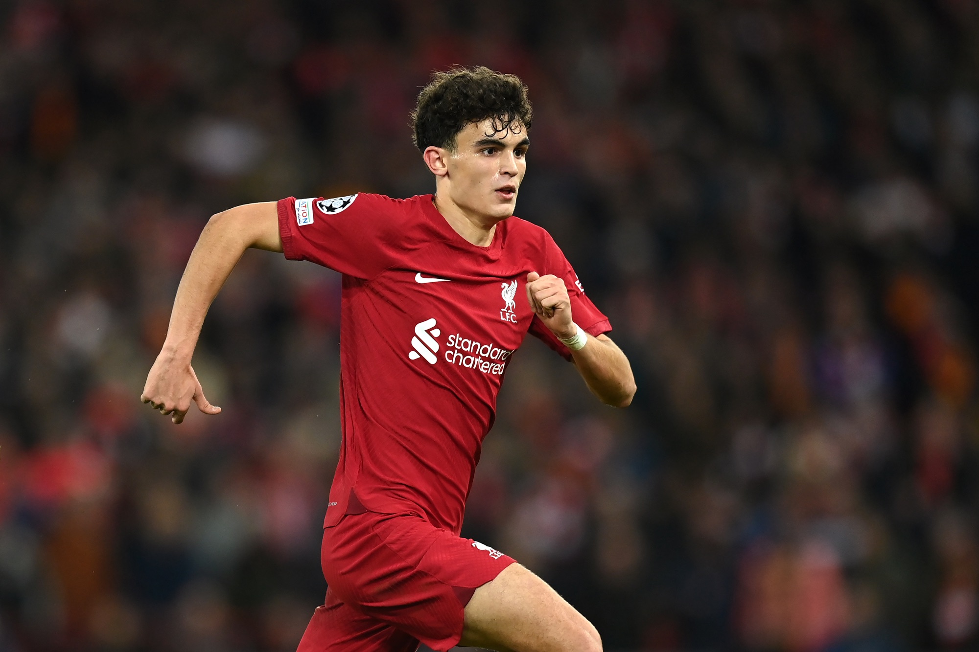 LIVERPOOL, ENGLAND - FEBRUARY 21: Stefan Bajcetic of Liverpool in action during the UEFA Champions League round of 16 leg one match between Liverpool FC and Real Madrid at Anfield on February 21, 2023 in Liverpool, England.
