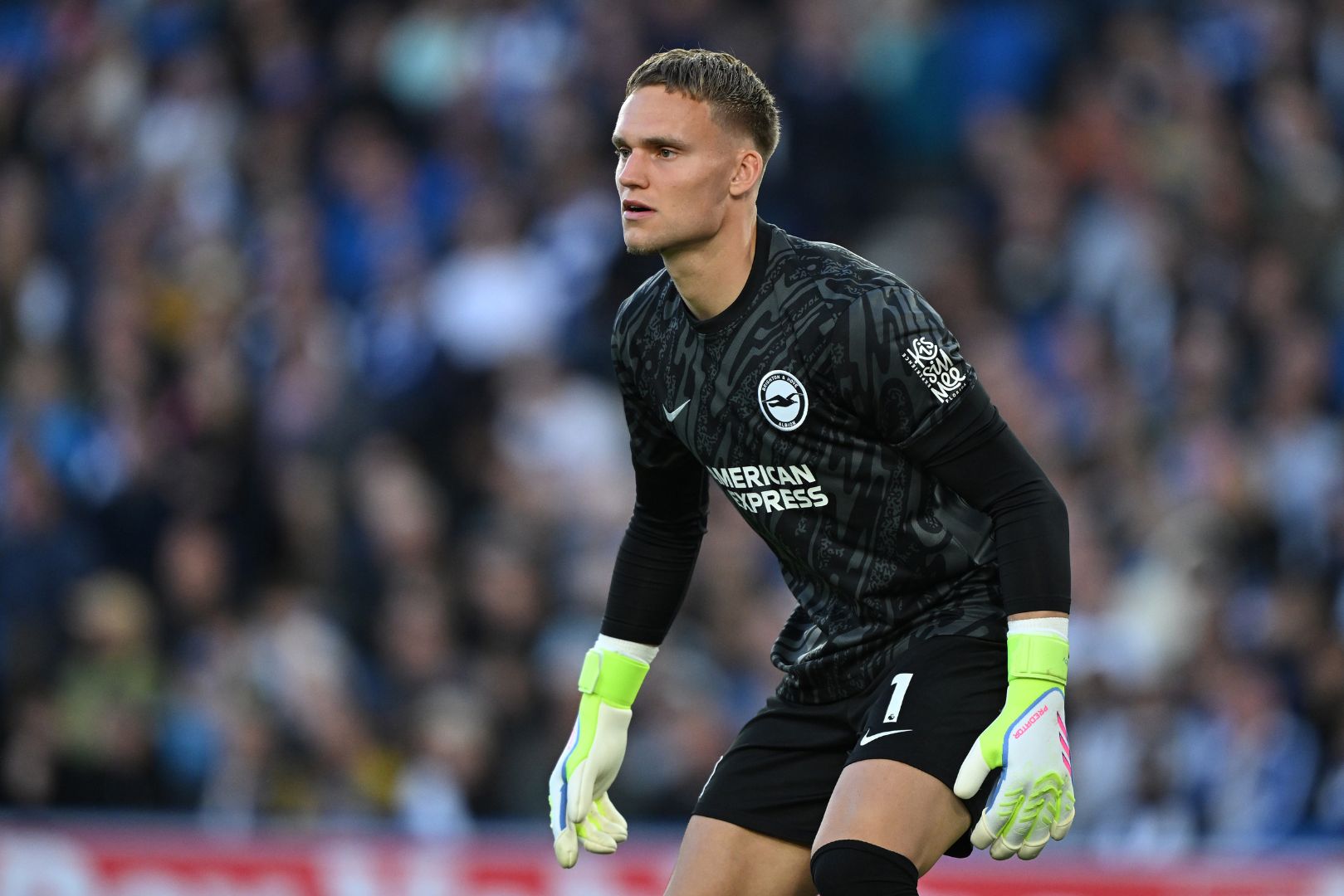 BRIGHTON, ENGLAND - MAY 19: Bart Verbruggen of Brighton & Hove Albion looks on during the Premier League match between Brighton & Hove Albion FC and Liverpool FC at Amex Stadium on May 19, 2025 in Brighton, England.
