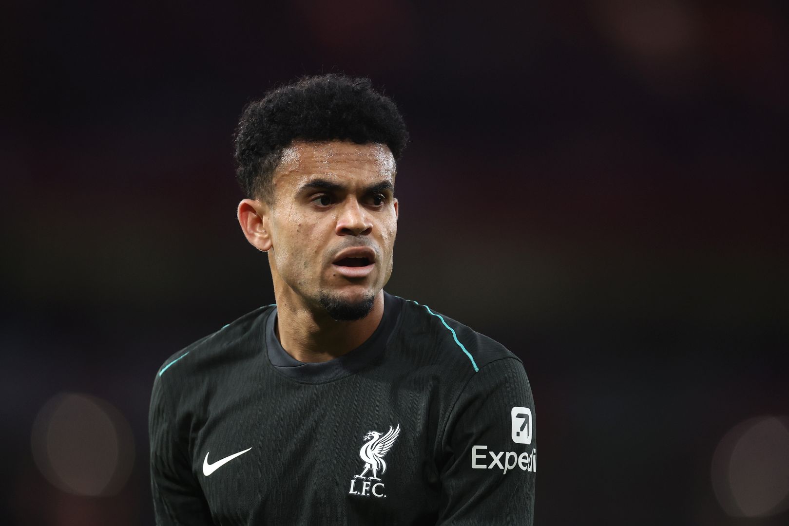 LONDON, ENGLAND - OCTOBER 27: Luis Diaz of Liverpool during the Premier League match between Arsenal FC and Liverpool FC at Emirates Stadium on October 27, 2024 in London, England.
